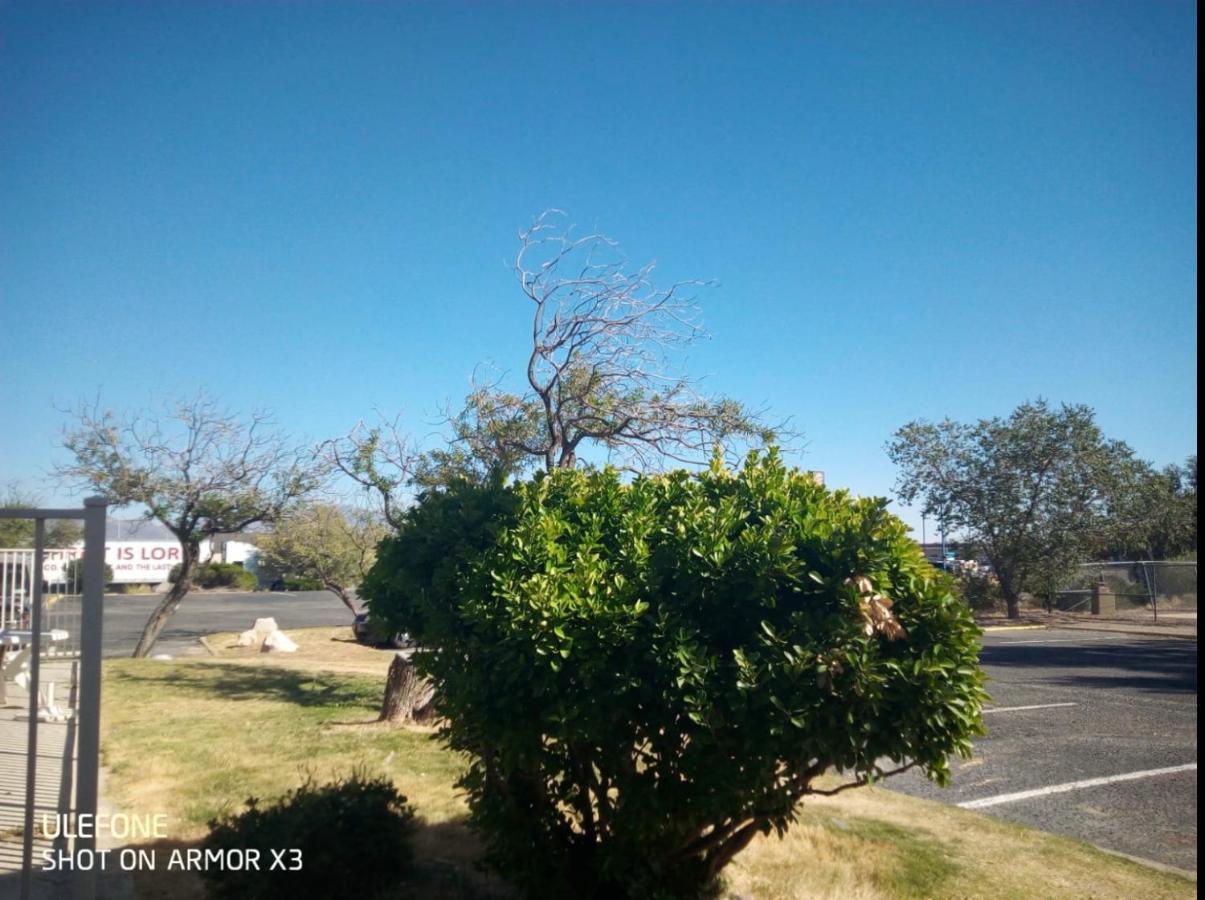 Hotel Extended And Willcox